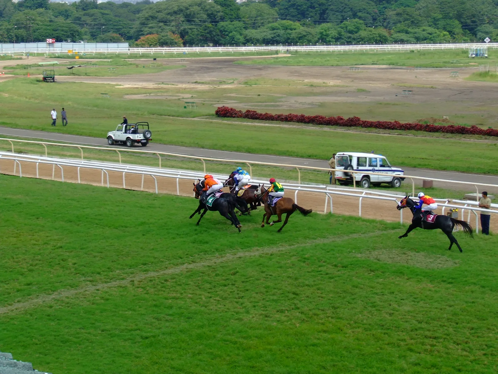 Thoroughbred horses racing at Pune Race Course in India